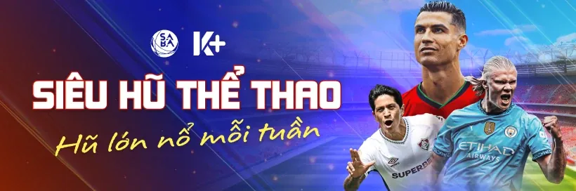 Kiểm tra thực tế và tạm ngừng chơi